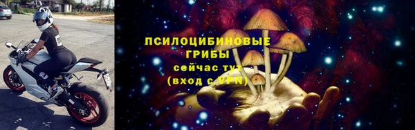 гидра Богородск