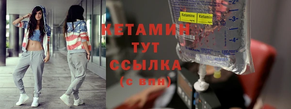 гидра Богородск