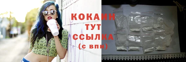 гидра Богородск