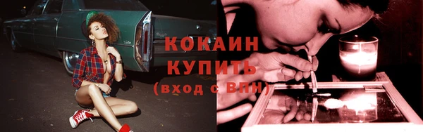 гидра Богородск