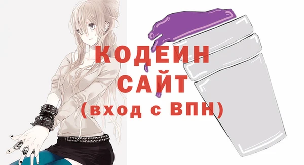 гидра Богородск