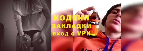 гидра Богородск