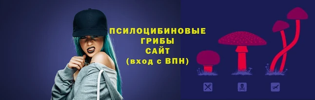 скорость mdpv Богданович