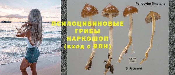 гидра Богородск